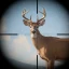 Trophy Hunter: Caça Casual icon