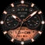 WTW M17 Hybrid Watch Face icon