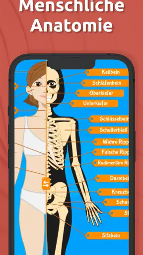 Anatomix: Anatomie lernen quiz screenshot 1