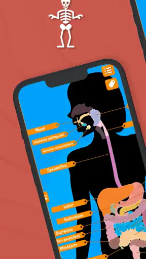 Anatomix: Anatomie lernen quiz screenshot 2