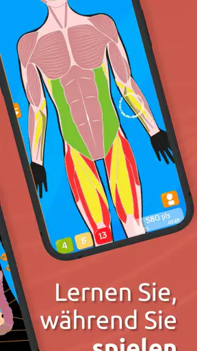 Anatomix: Anatomie lernen quiz screenshot 3