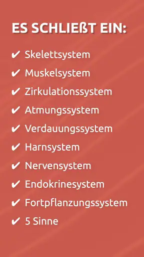Anatomix: Anatomie lernen quiz screenshot 4
