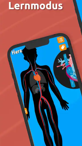 Anatomix: Anatomie lernen quiz screenshot 5