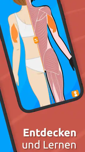 Anatomix: Anatomie lernen quiz screenshot 6