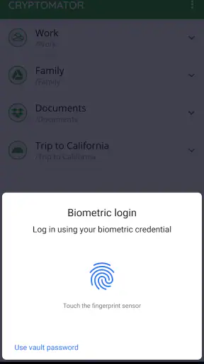 Cryptomator screenshot 4
