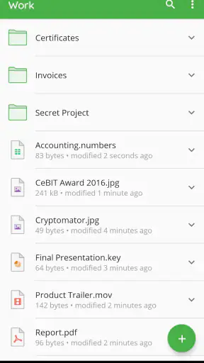 Cryptomator screenshot 5