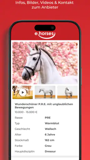 ehorses screenshot 4