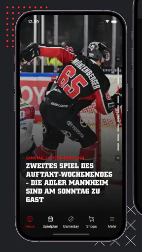 Kölner Haie screenshot 1