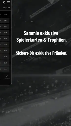 THW Kiel Handball screenshot 4