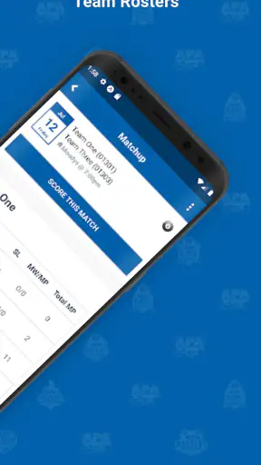 APA Scorekeeper screenshot 2
