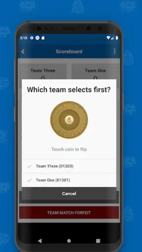 APA Scorekeeper screenshot 3