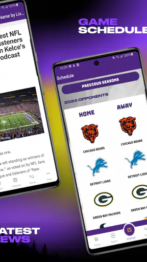 Minnesota Vikings screenshot 7