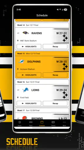 Pittsburgh Steelers screenshot 3
