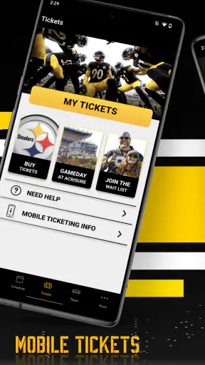 Pittsburgh Steelers screenshot 4