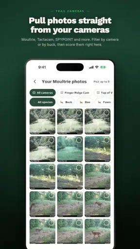 rackline.ai - AI Deer Scoring screenshot 2