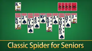 Spider Solitaire Card Games screenshot 1