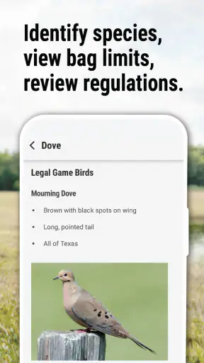 Texas Outdoor Annual screenshot 4