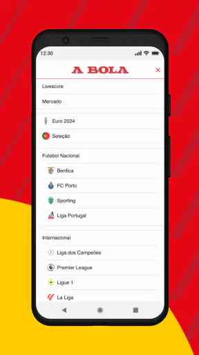 A BOLA screenshot 4