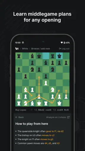 Chessbook screenshot 7