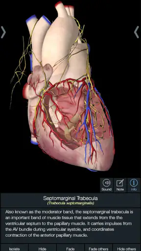 Essential Anatomy 5 screenshot 4
