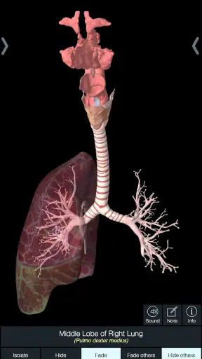 Essential Anatomy 5 screenshot 6