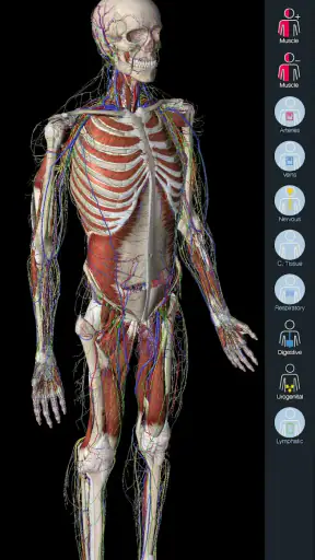 Essential Anatomy 5 screenshot 7