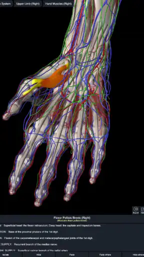 Essential Anatomy 5 screenshot 8