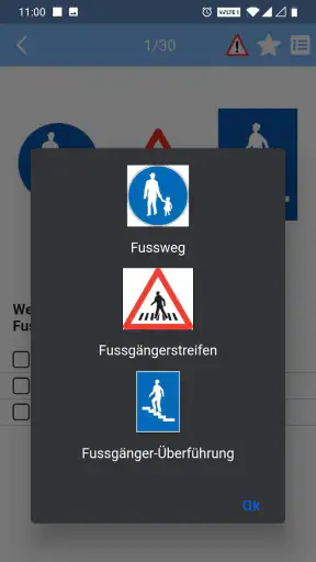Fahrlehrer24 screenshot 7