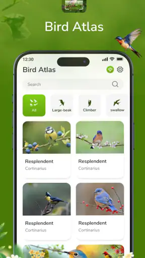 ID Bird: Bird Call Identifier screenshot 1