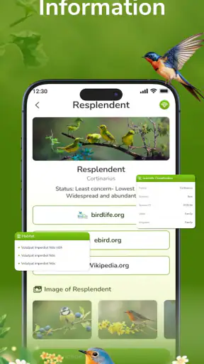 ID Bird: Bird Call Identifier screenshot 4