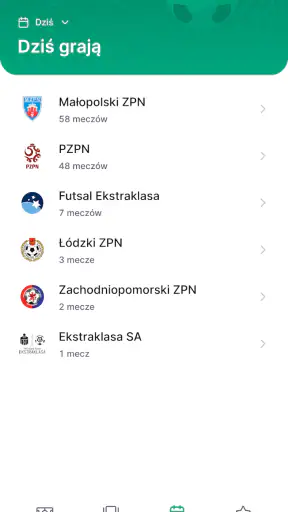 mPZPN screenshot 7