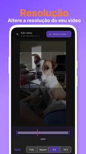 Removedor de Fundo de Vídeo screenshot 7