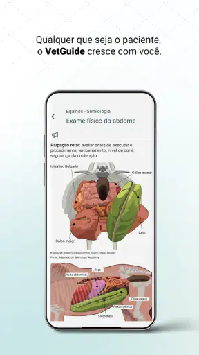 VetGuide Medicina Veterinária screenshot 6